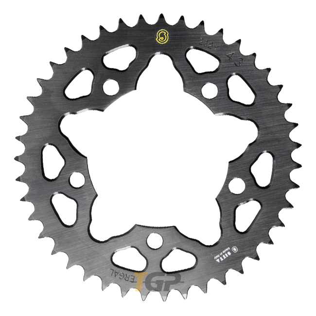 Sitta Aluminum Sprocket BMW S1000RR K46 (09-18) (202Y) – 37-47 Teeth, 520 Pitch 