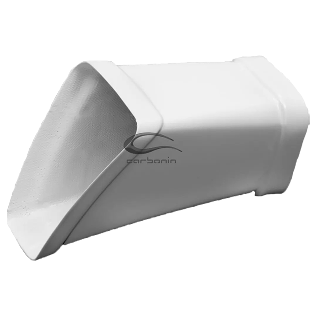 Air Canal Avio Fiber Carbonin BMW S1000RR K67 (19-22) B4066AF