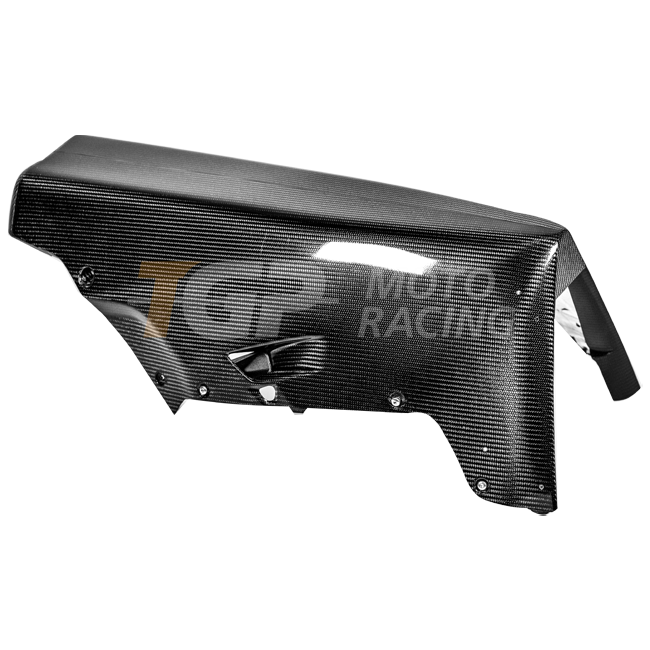 Bug Spoiler 200g Carbon AP Carbon Line Ducati Panigale V4 R (2026) 