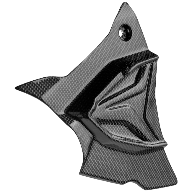 Spot cover Carbon Lightech BMW S1000RR K67 (19-25) Carb1945