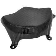 Sighting machine cover Carbon Lightech Ducati Panigale V4/S (2025) Card0840