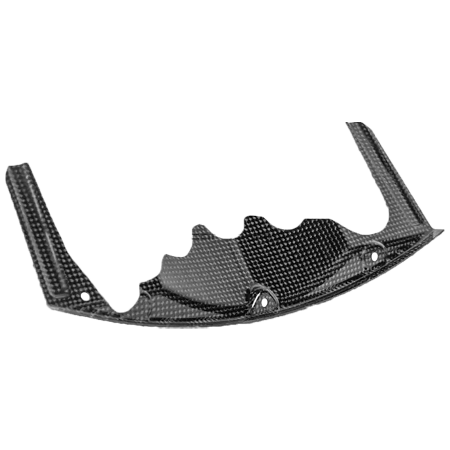 Air fold for SBK cooler carbon carbonin BMW S1000RR K67 (19-22) CB4071