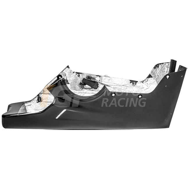 Bug Spoiler 200g Carbon AP Carbon Line Ducati Panigale V4 R (2026) 