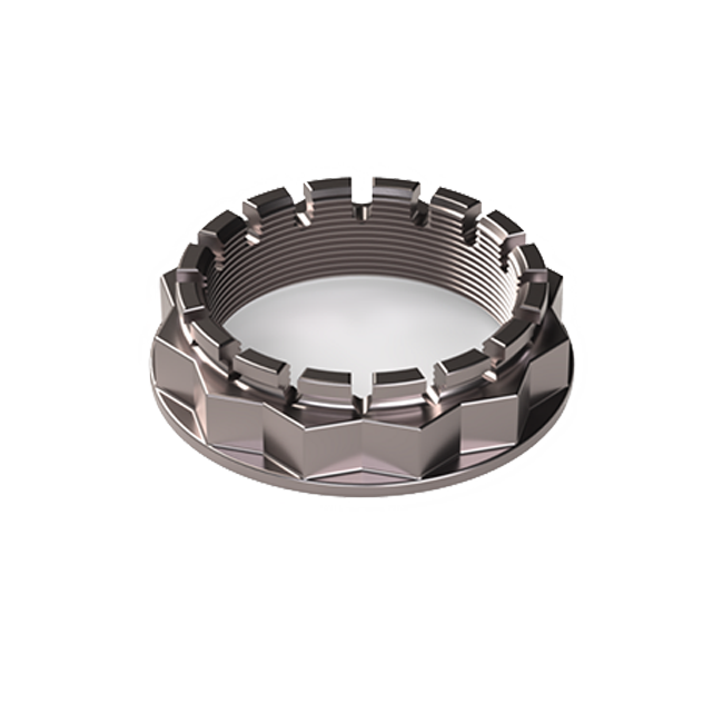 Titanium rear wheel nut K-Bike Ducati Panigale V2 955 (20-24) DM48x1.5TIT 
