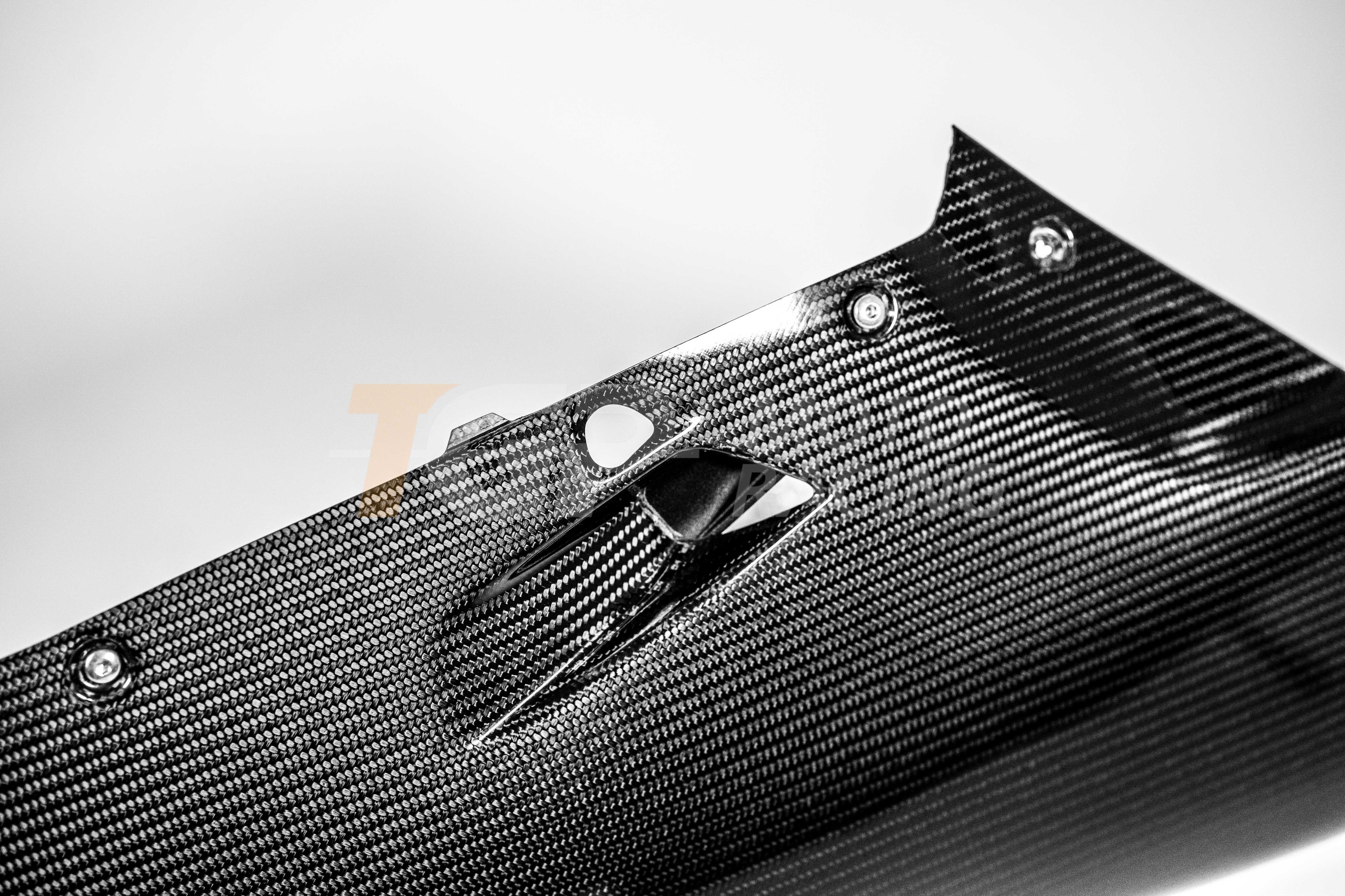 Bug Spoiler 200g Carbon AP Carbon Line Ducati Panigale V4 R (2026) 