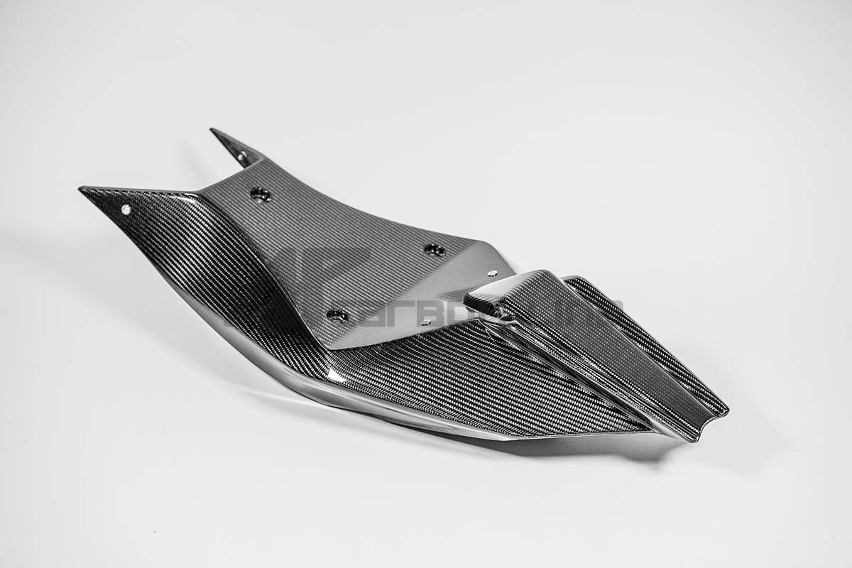 Carénage trasero 200g AP Carbon Line Aprilia RSV4/RR/1100 Factory (21-25) 