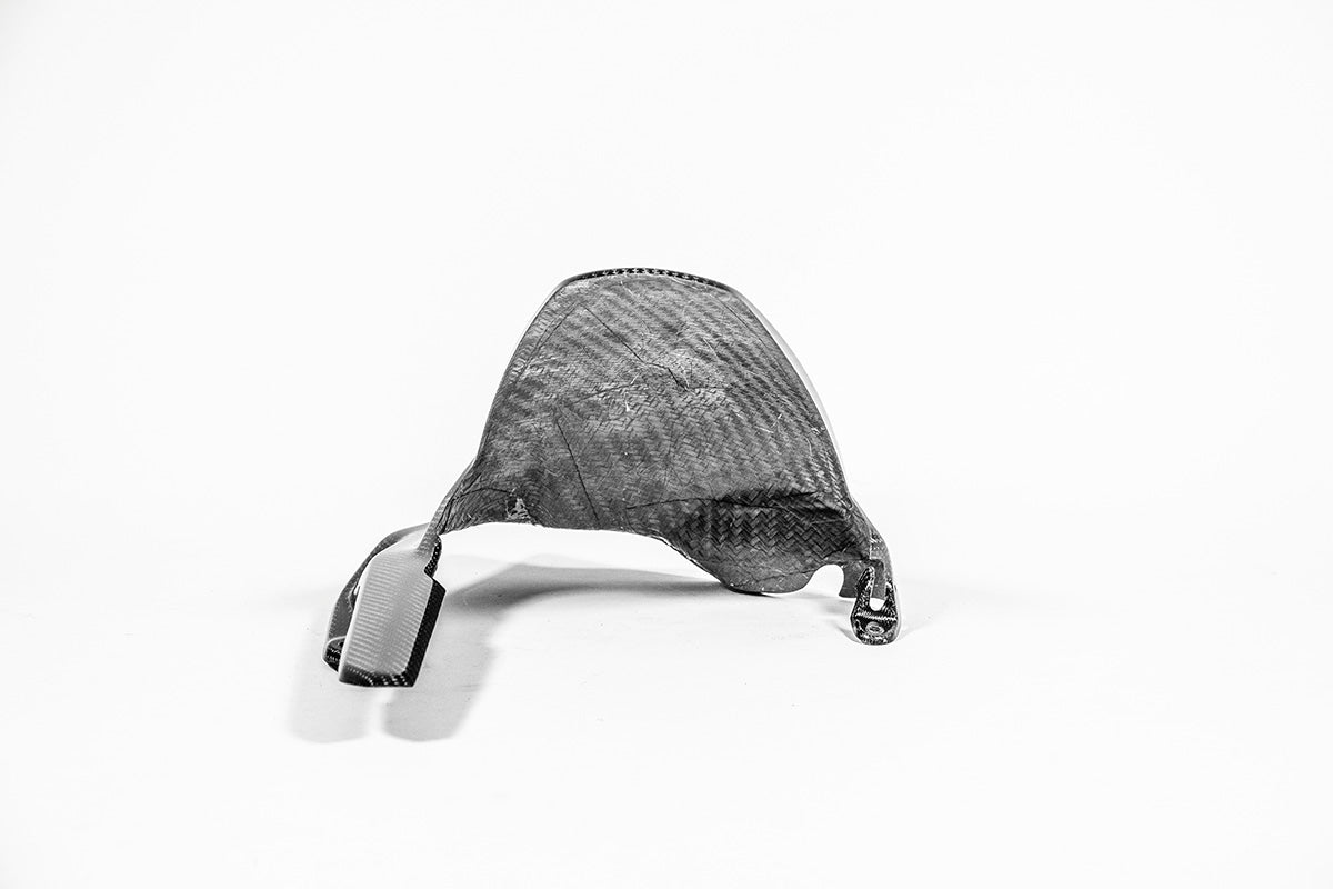 Guardabarros trasero 200g AP Carbon Line Ducati Panigale V4/S (2025) 