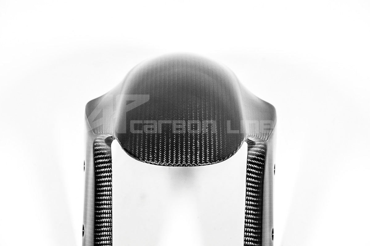 Guardabarros delantero 200g AP Carbon Line Ducati Panigale V4/S (2025) 