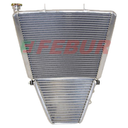 Racing Agua + Enfriador de Aceite Febur Aprilia RSV4/RR/RF/1100 Factory (15-20) FE1577S 