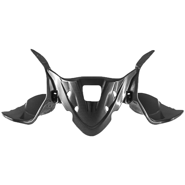Cubierta de instrumentos de carbono Fullsix Ducati Panigale 959 (16-19) 