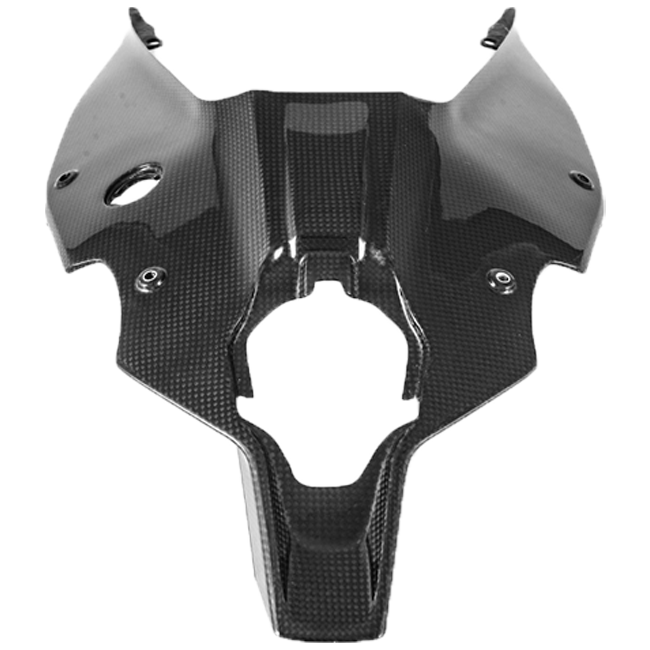 Heck cladding "Below" Carbon Fullsix Ducati Panigale V4/S/R (18-24)