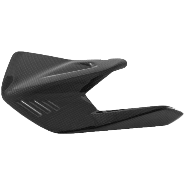 Swinging arm insert Carbon Fullsix Ducati Panigale V4/S (2025)