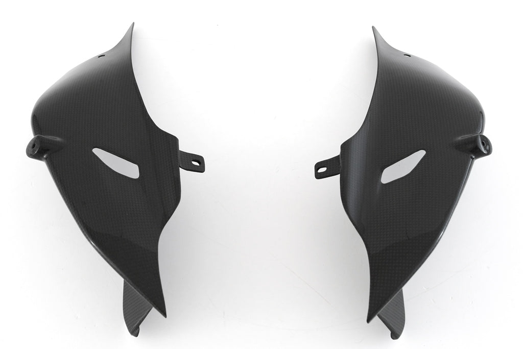 The rear cover center + below Race Carbon Fullsix Ducati Panigale V4/S (2025)