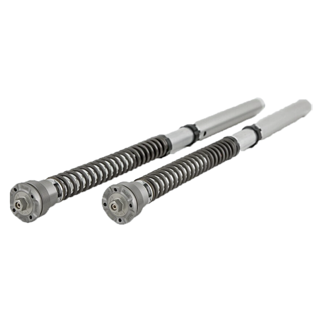 Kit de cartucho Öhlins NIX 30 FGK 229 Ducati Panigale 959 (16-19) 