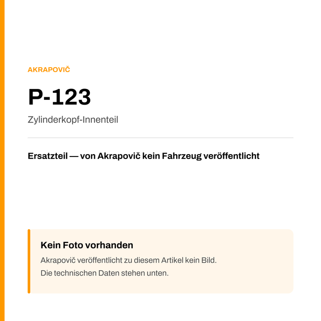 Akrapovic Zylinderkopf-Innenteil P-123 — Platzhalter, kein Herstellerfoto verfügbar