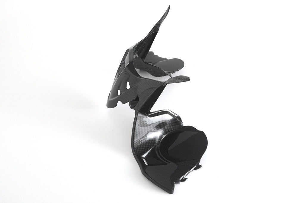 Cubierta de instrumentos de carbono Fullsix Ducati Panigale 959 (16-19) 