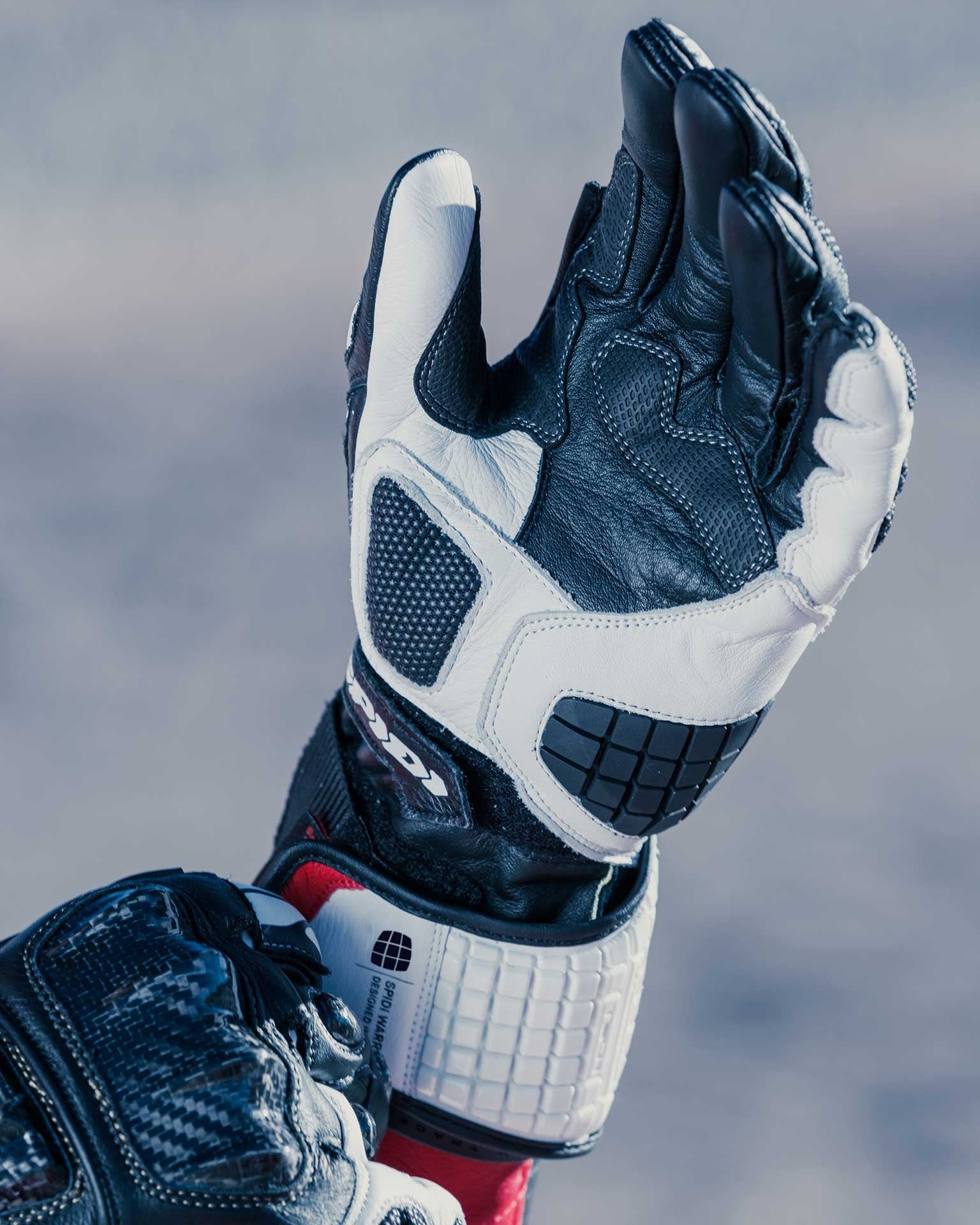 Guantes de cuero de moto Spidi Carbo Track Evo Racing | Hombre | Negro/Blanco | A203011 