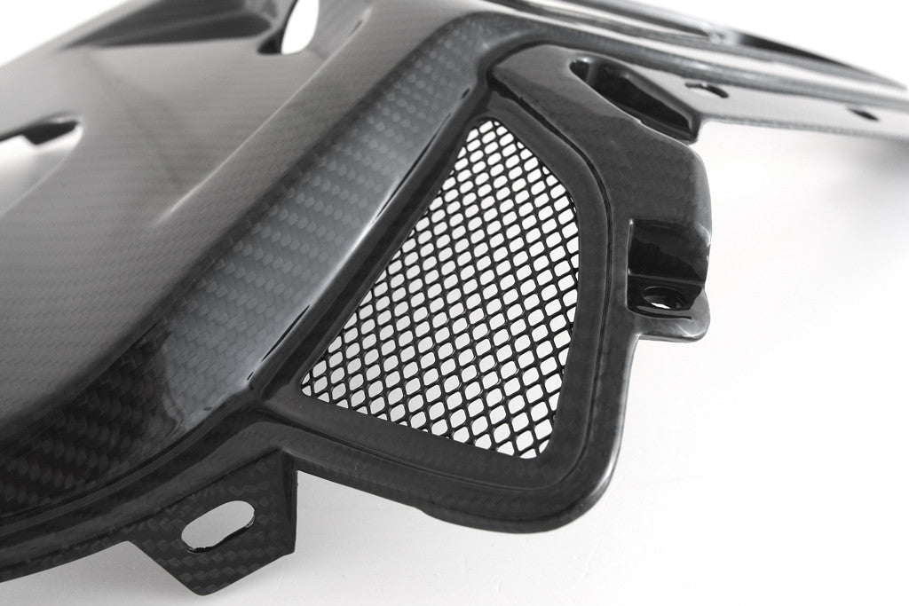 Heck cover above Carbon Fullsix BMW S1000RR K67 (19-22)