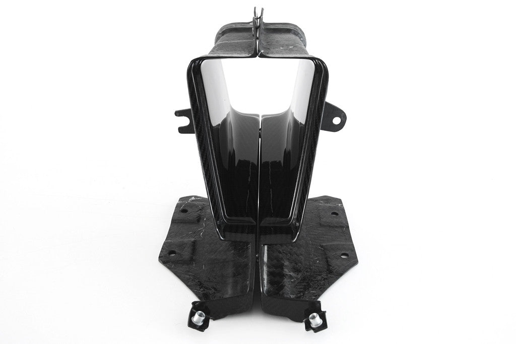 Air intake Carbon Fullsix BMW S1000RR K67 (19-24)