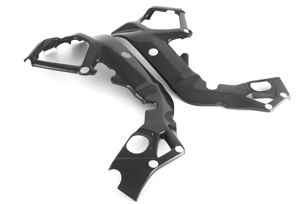 Frame cover Carbon Fullsix BMW S1000RR K46 (15-18)