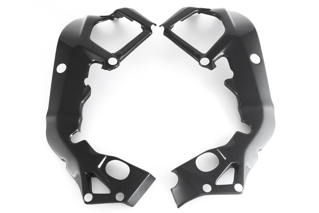 Frame cover Carbon Fullsix BMW S1000RR K46 (15-18)