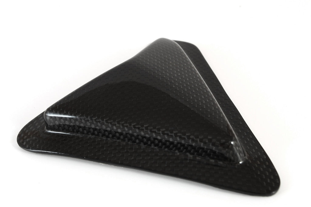 Slider Swinging Carbon Fullsix Ducati Panigale 1299/S (15-18)